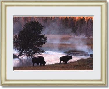 Featured Print