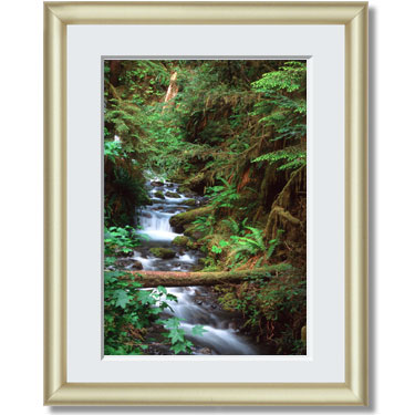 Featured Print