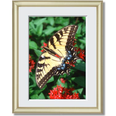 Featured Print