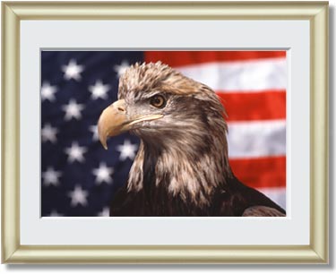 Featured Print