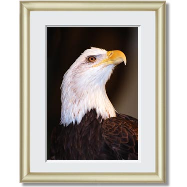 Featured Print
