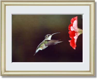 Featured Print