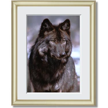 Featured Print