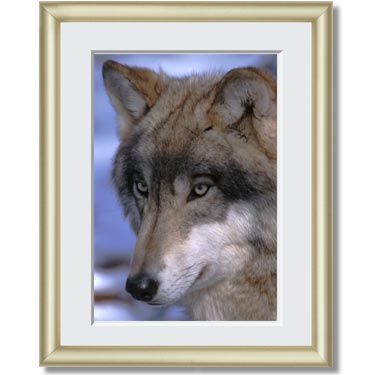 Featured Print