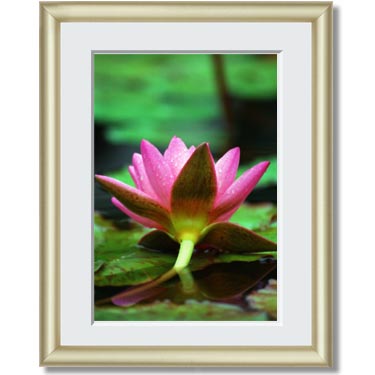 Featured Print