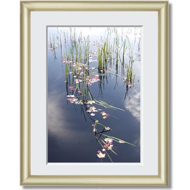 Featured Print