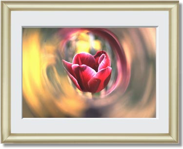 Featured Print