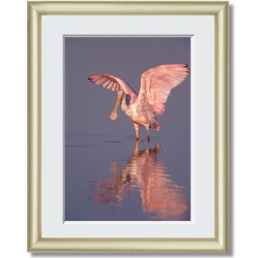 Featured Print