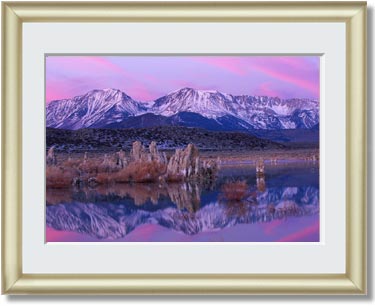 Featured Print