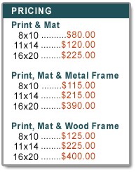 Pricing